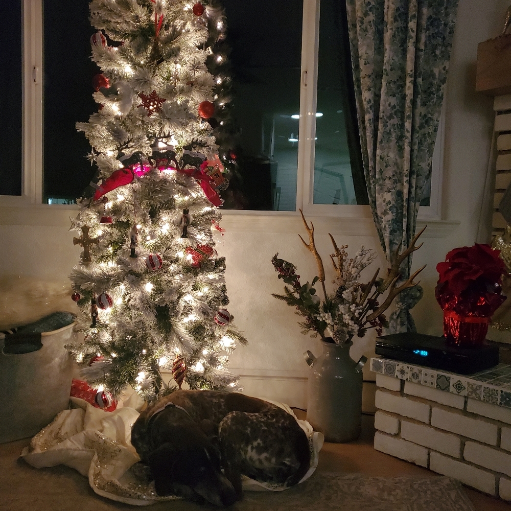 Meet your Posher, Marie